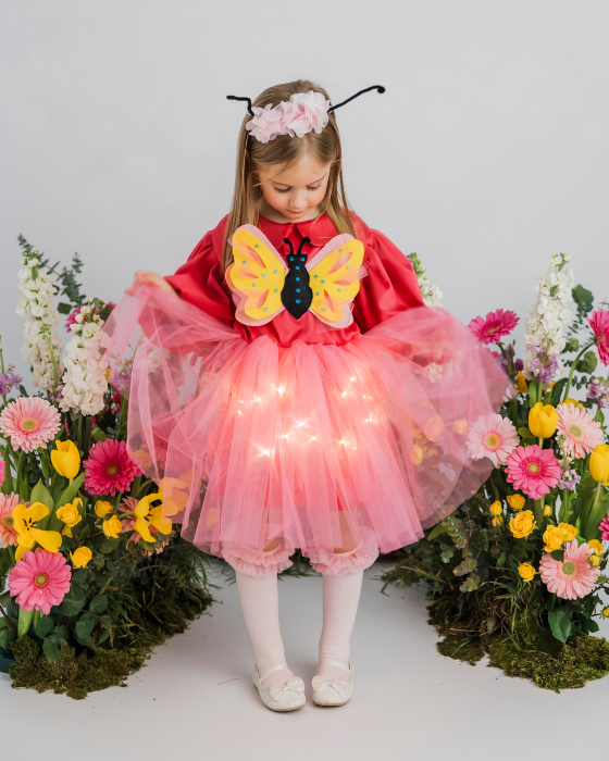 Pink Butterfly Dress with Lights, Spring Celebration