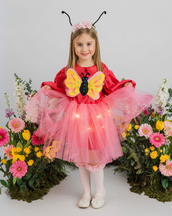 Pink Butterfly Dress with Lights, Spring Celebration