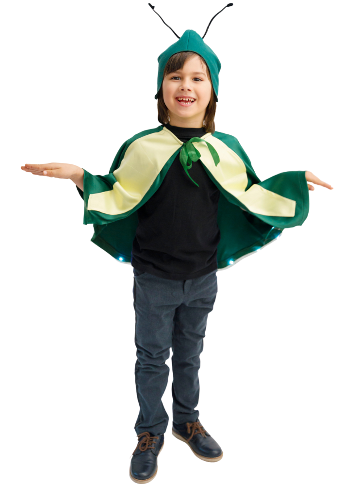Firefly Costume, 2 Pieces, with Lights