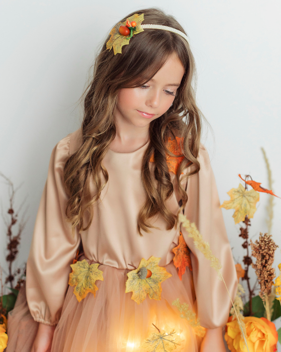 Autumn Fairy Costume, 2 pieces, Dress and Headband