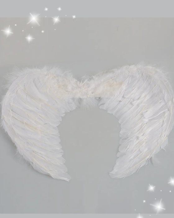 Boy Angel Set, Wings + Angel Aura for Kids, Christmas Celebration