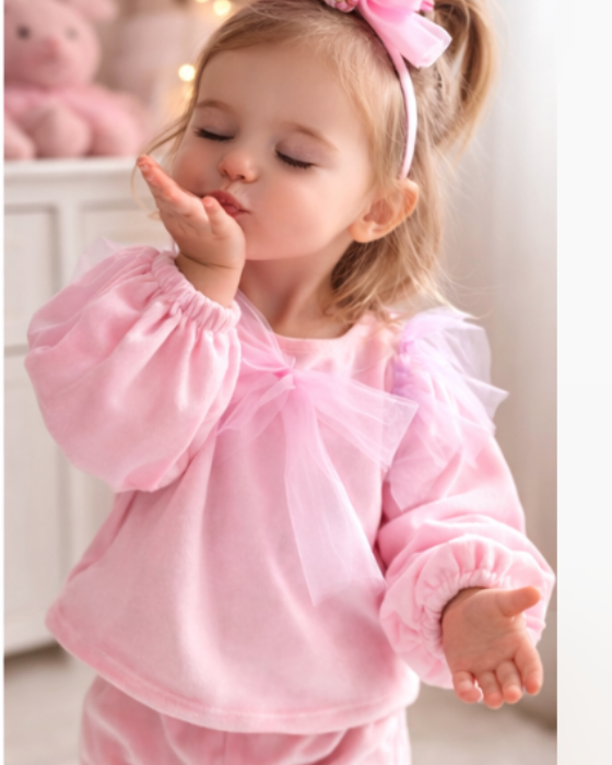 Pale Pink, Velvet Blouse