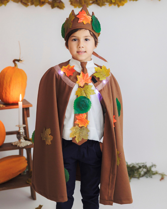 2 Piece Costume, Autumn King, Brown