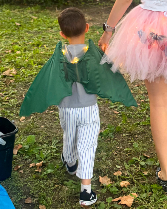 Dragon / Dinosaur Wings with Lights for Kids