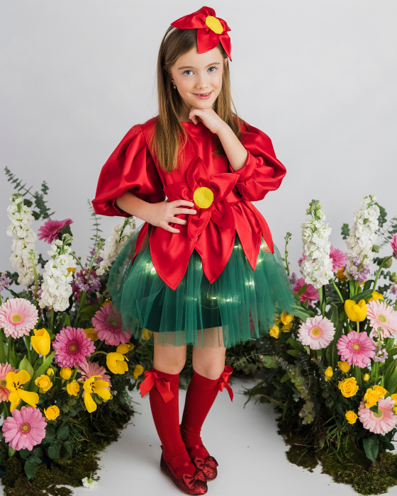 Red Flower Dress with Lights, Spring Play