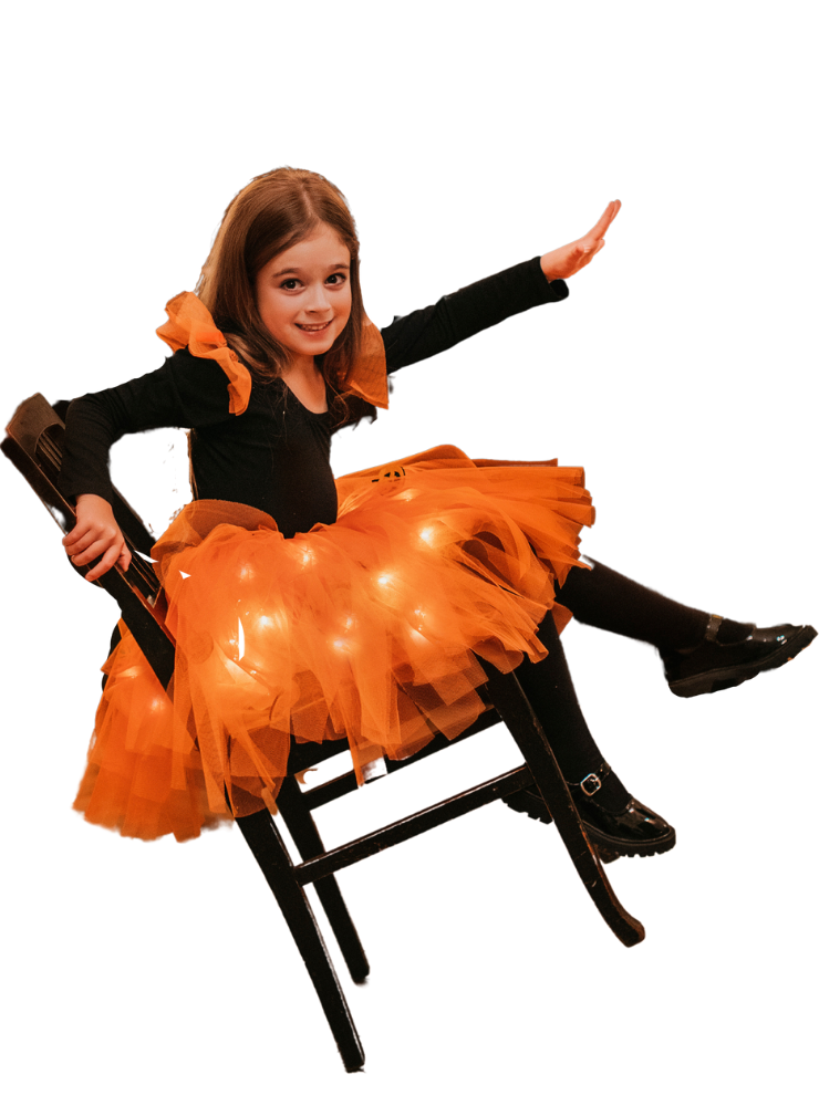 Fairy Skirt with Lights, Autumn Fairy with Pumpkins - Extra Soft Tulle