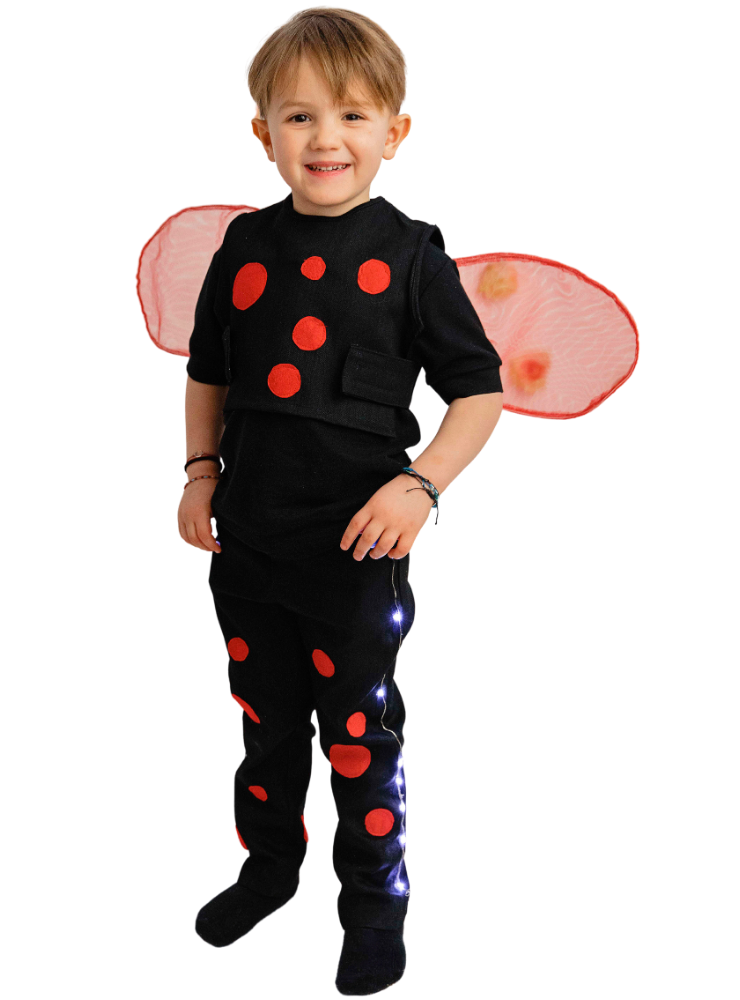 Ladybug Costume, 2 Pieces, for Boys