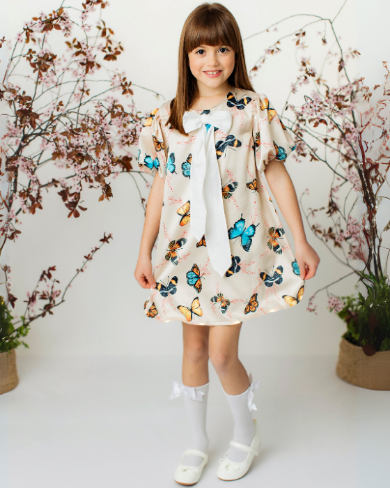 School / Kindergarten Butterfly Dress 