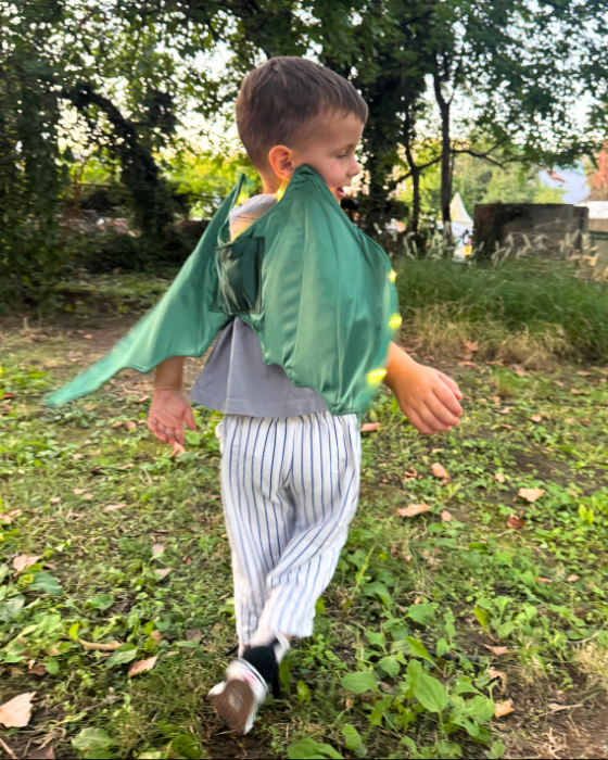 Dragon / Dinosaur Wings with Lights for Kids