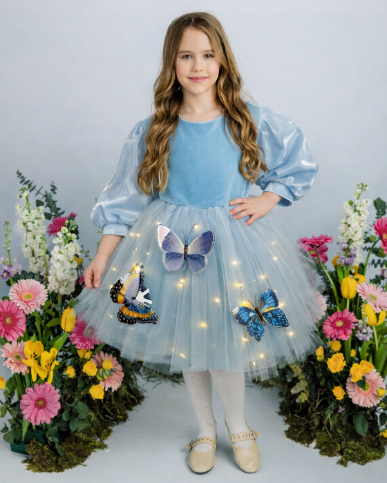 Blue Dress with Lights, Tulle with Butterflies