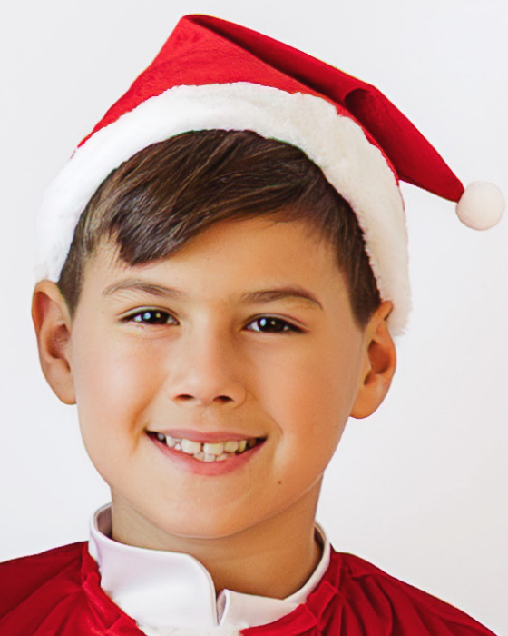 Red Velvet Santa Hat