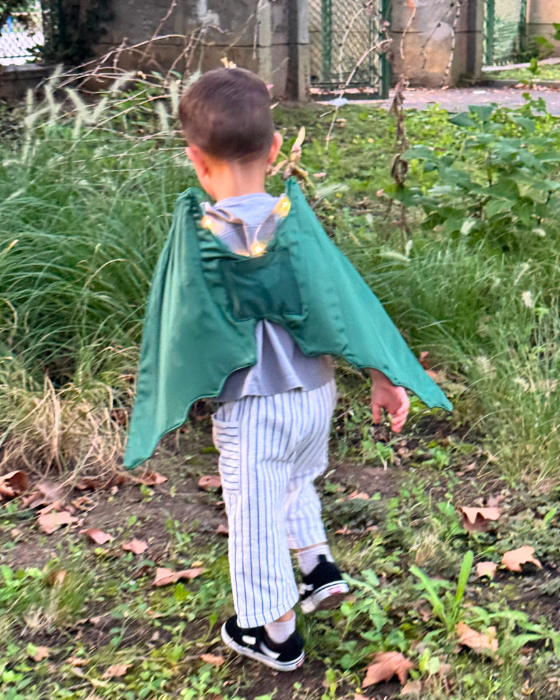 Dragon / Dinosaur Wings with Lights for Kids
