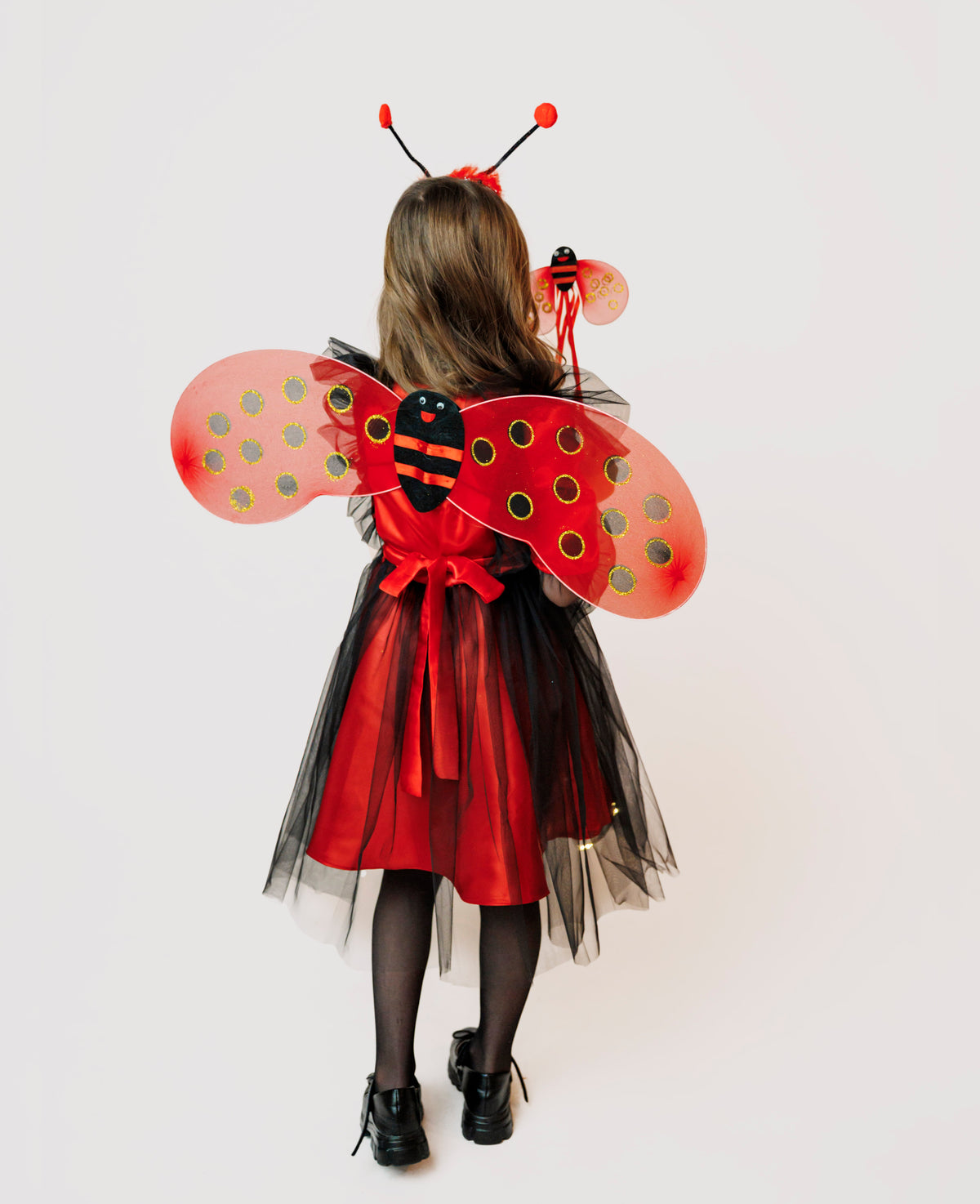 Ladybug Wings Magic Set, 3 Pieces