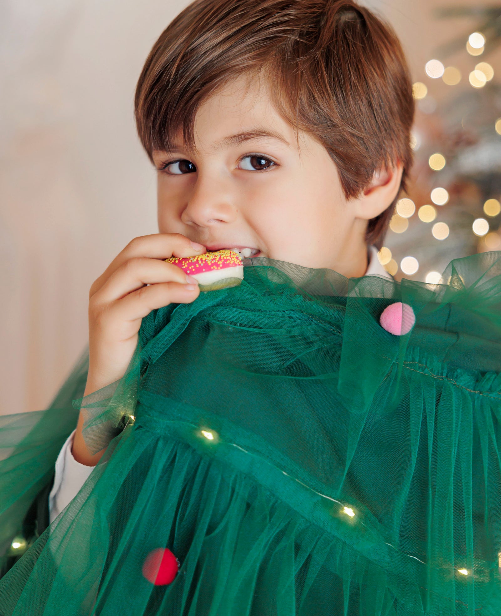 Cape with Lights, Tree