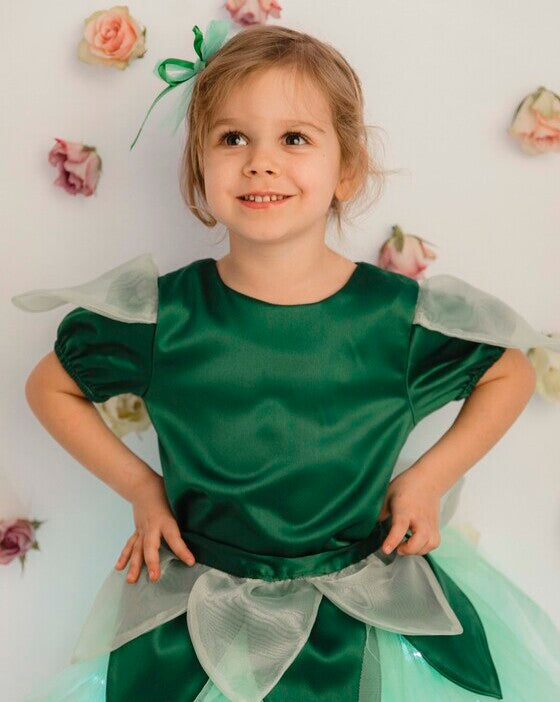 Green Blouse, by Spring Fairy / Tinkerbell