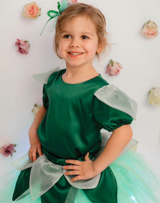 Green Spring Fairy Costume, Firefly, Tinkerbell, Bell Fairy