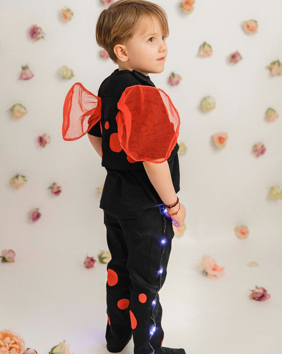 Ladybug Costume, 2 Pieces, for Boys